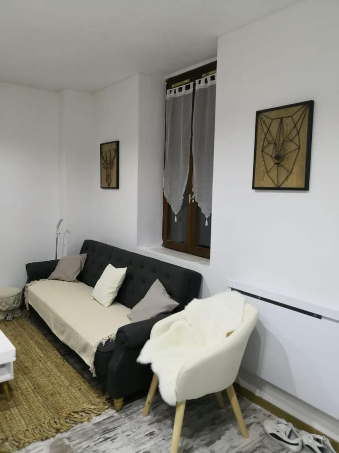 Studio zen et cosy, neuf en pleine ville Saint-Claude Buitenkant foto