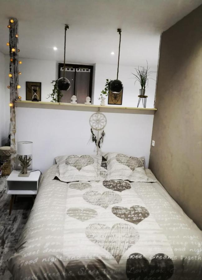Studio zen et cosy, neuf en pleine ville Saint-Claude Buitenkant foto