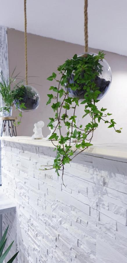 Studio zen et cosy, neuf en pleine ville Saint-Claude Buitenkant foto